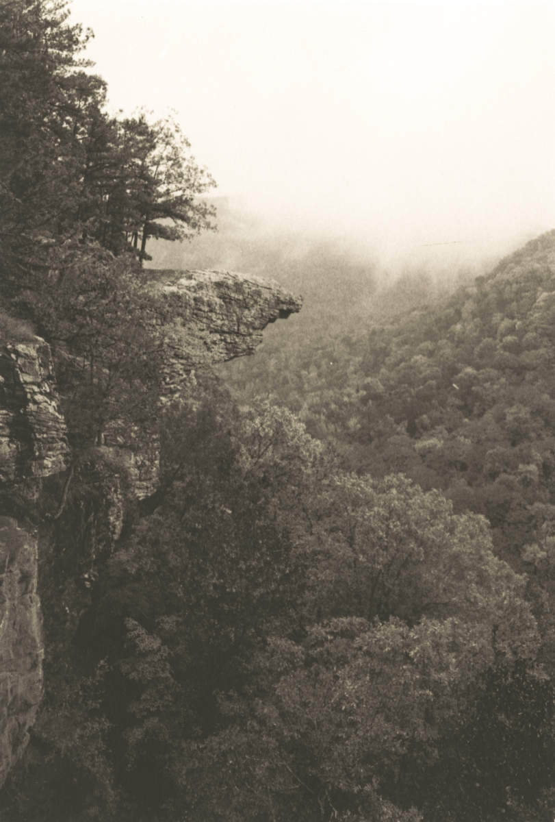 HawksbillCraig.0003.v2, Arkansas