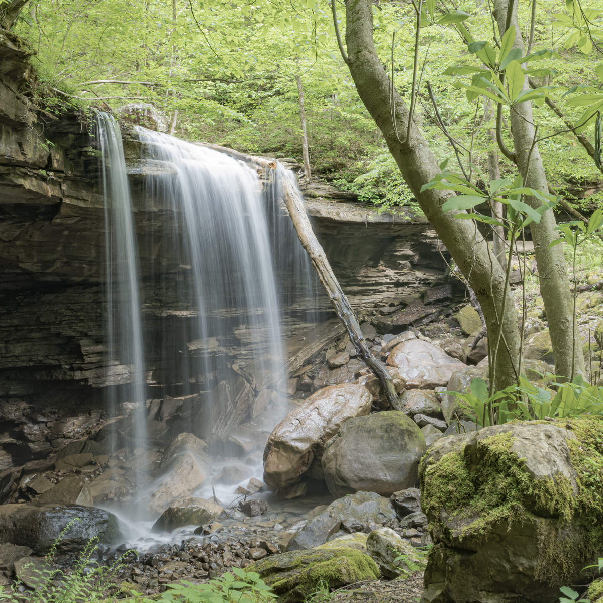 BigLauralFalls.4144