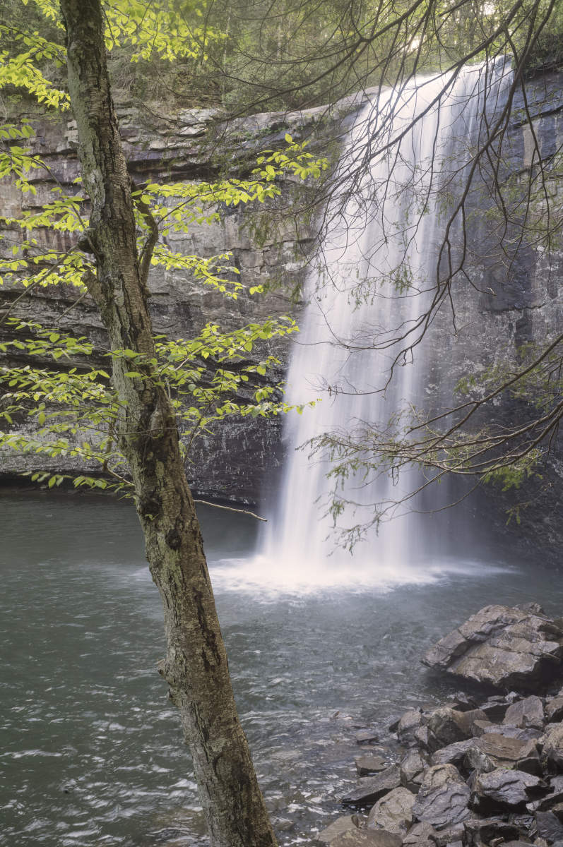 FosterFalls.3999