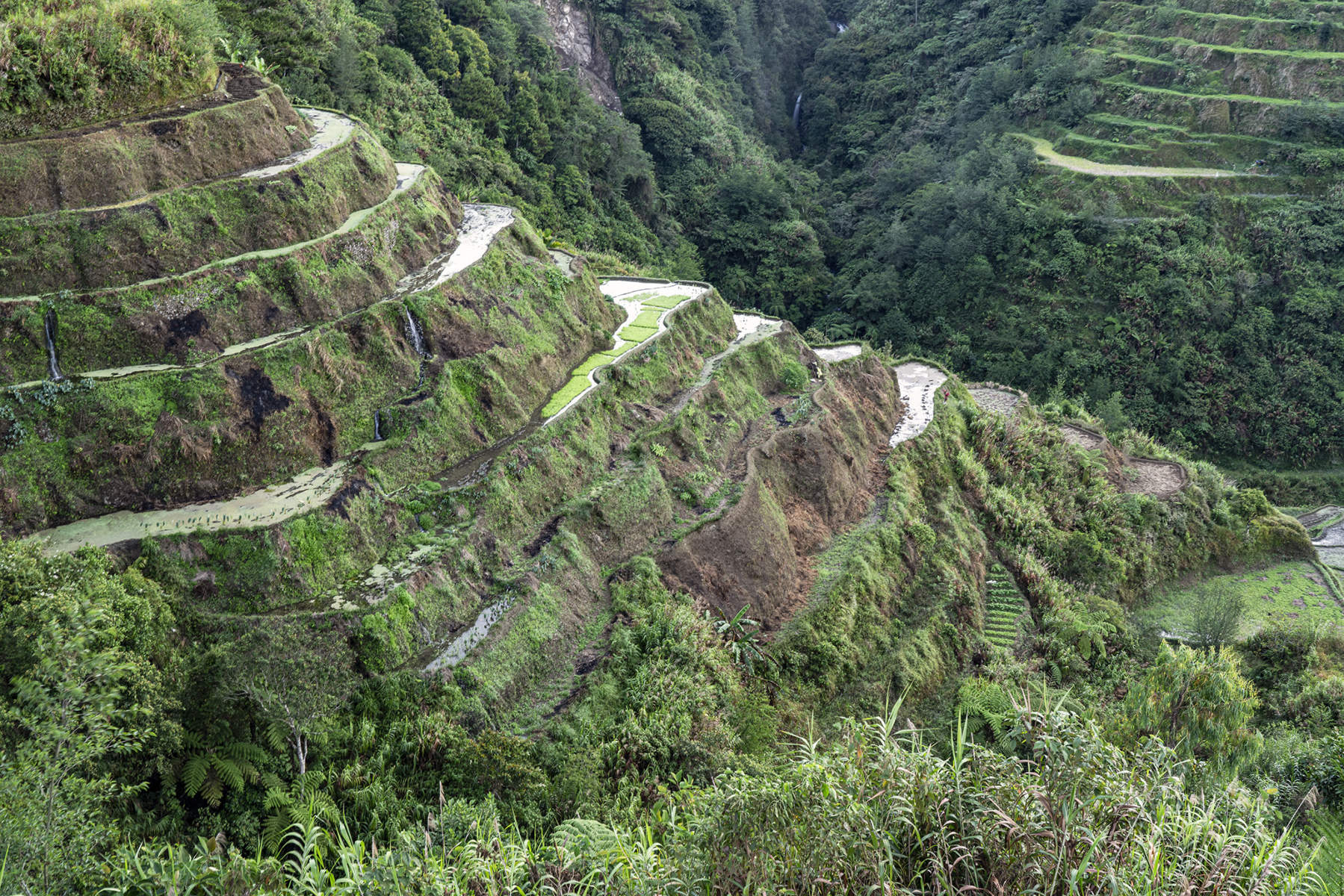 BanaueRiceTerraces.4425, Luzon