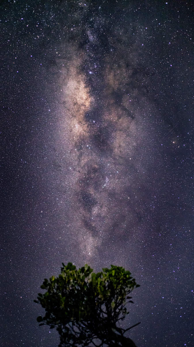 WalakiriMilkyWay.0582, Sumba