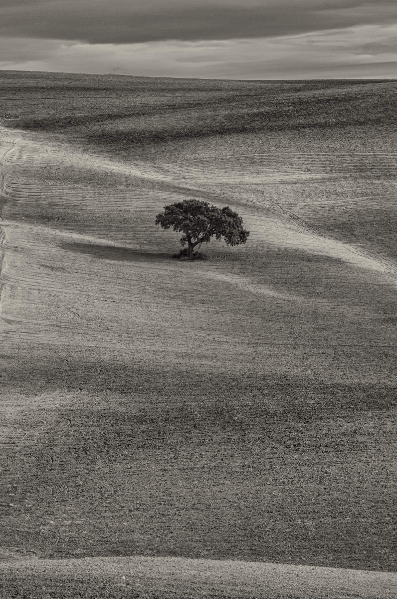 Andalucia.3049.N5, Spain
