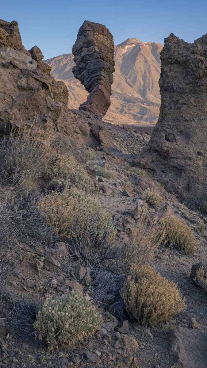 Roque Chinchado.2288, Tenerife, Spain