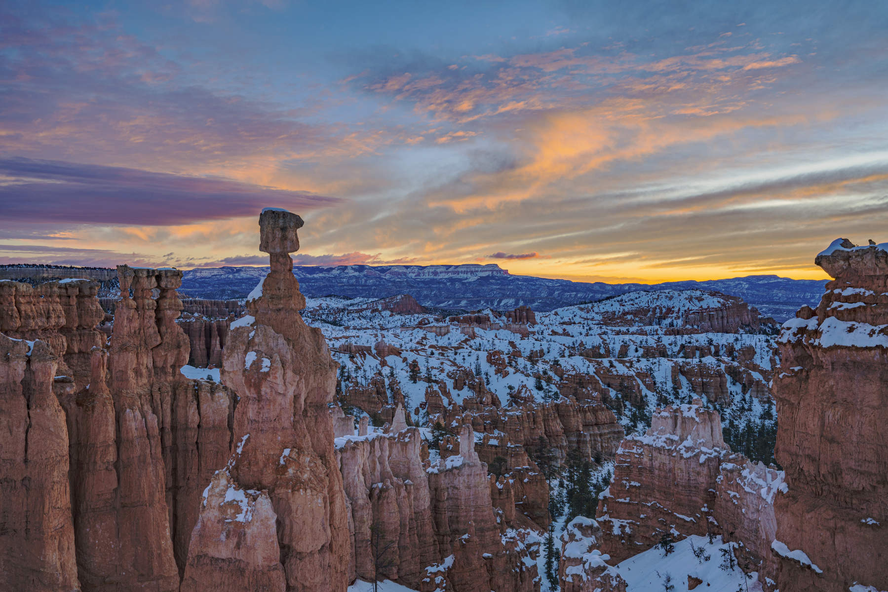 Bryce Canyon.0653.jpg