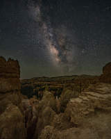 © Charlie Liggett Photography