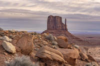 © Charlie Liggett Photography