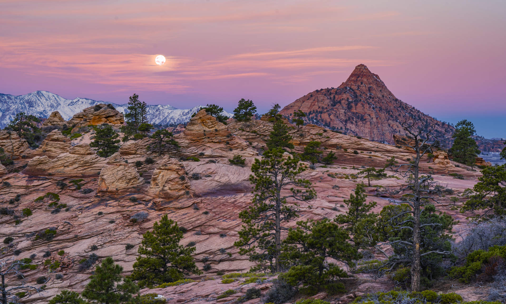 Red Butte.1185, Kolob, Zion National Park, Utah