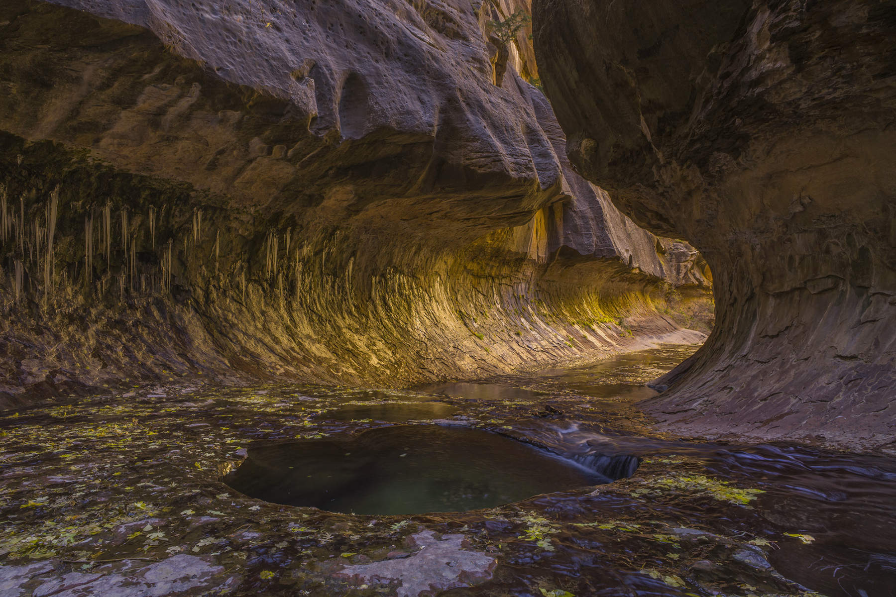 The Subway.0824, Zion National Park, Utah