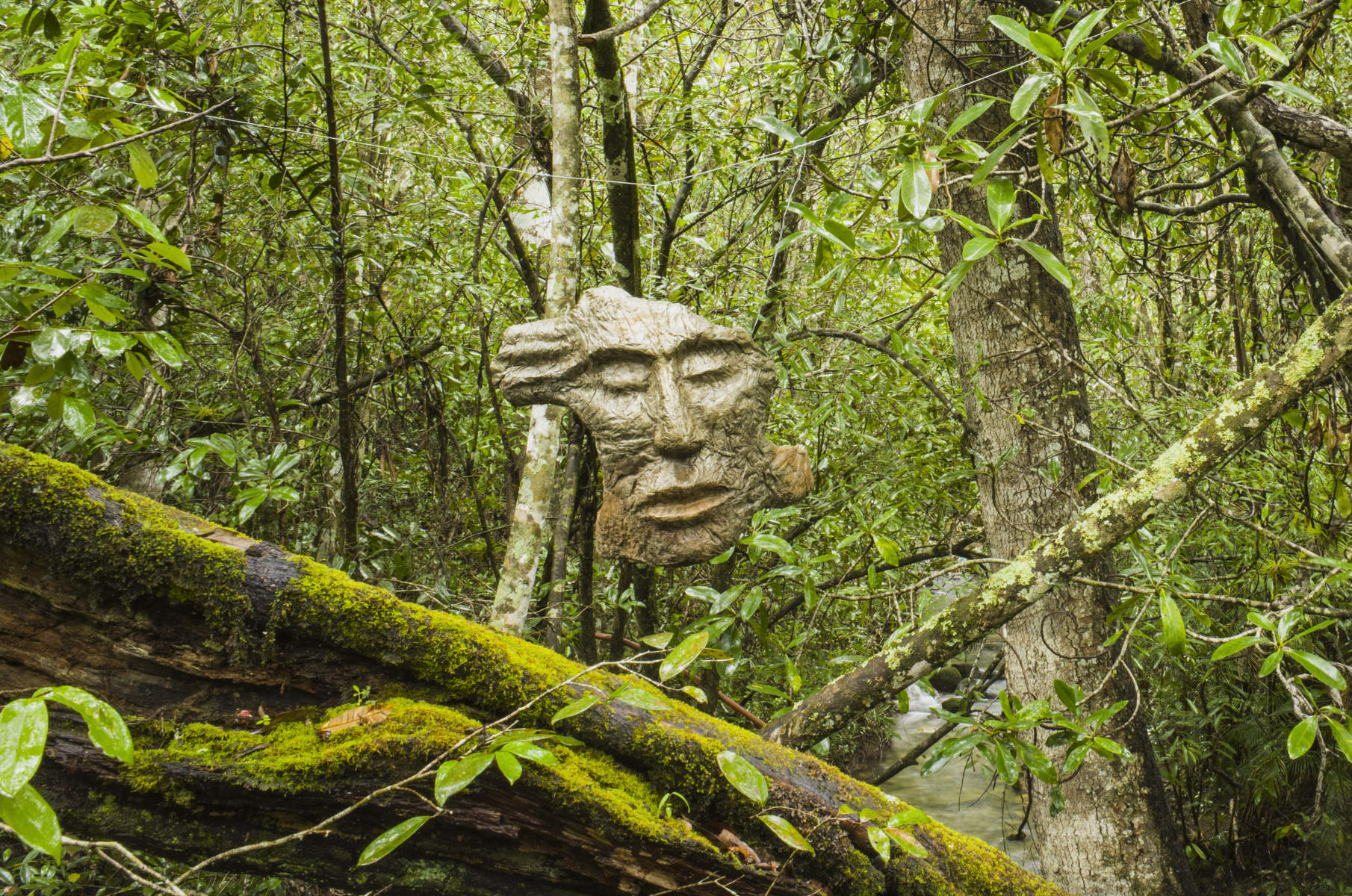 Loquinhas Mask.9231, Chapada dos Veadeiros