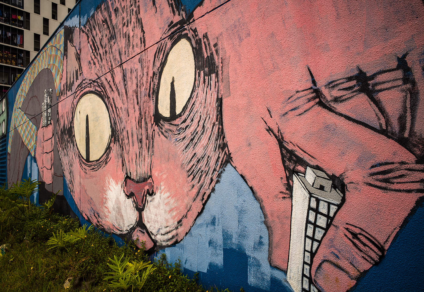 Sao Paulo Street Art.5821