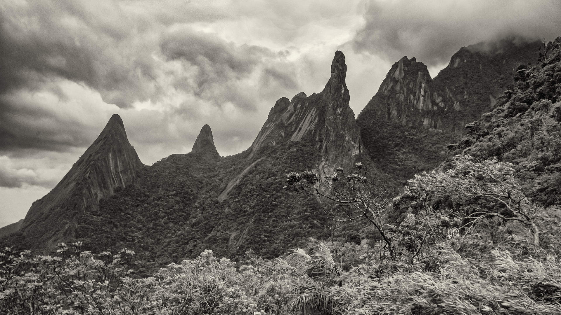 Serra Dos Órgãos.3318.N5