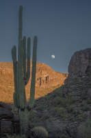© Charlie Liggett Photography