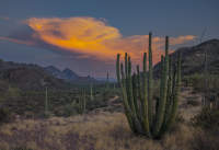 © Charlie Liggett Photography
