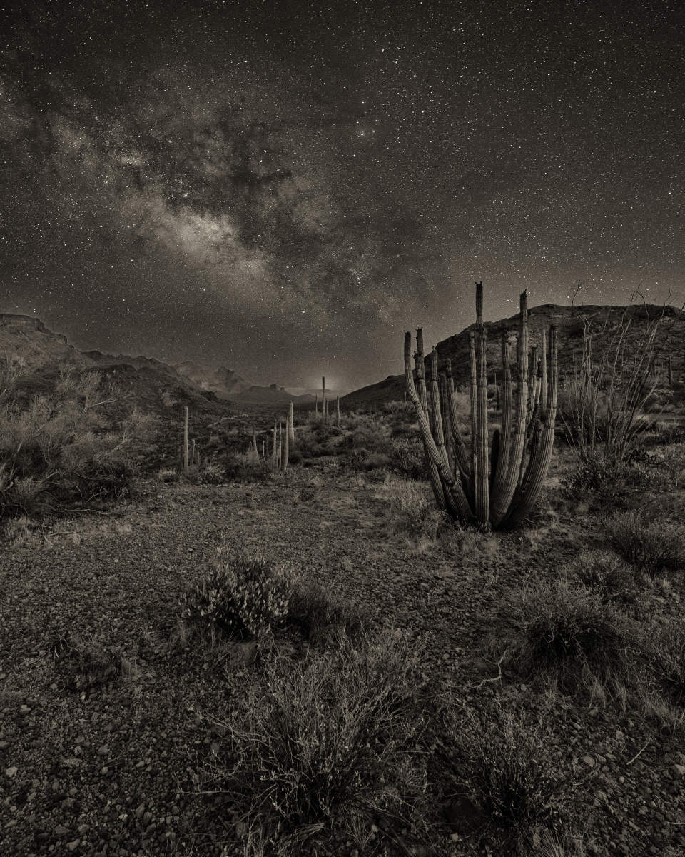Organ Pipe Cactus National Park MilkyWay.0092:0134