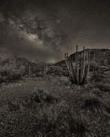 © Charlie Liggett Photography