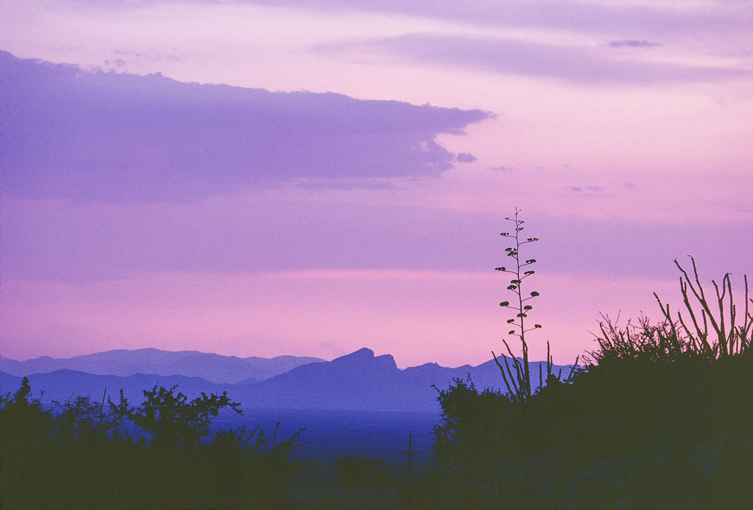 Sonoran Desert Sunset, Arizona