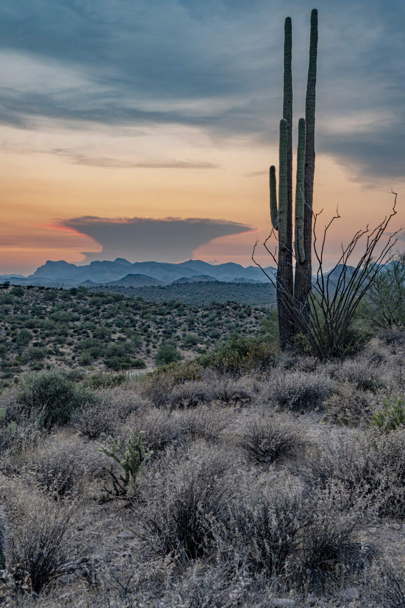 Superstition Mountains.6915