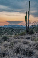 © Charlie Liggett Photography