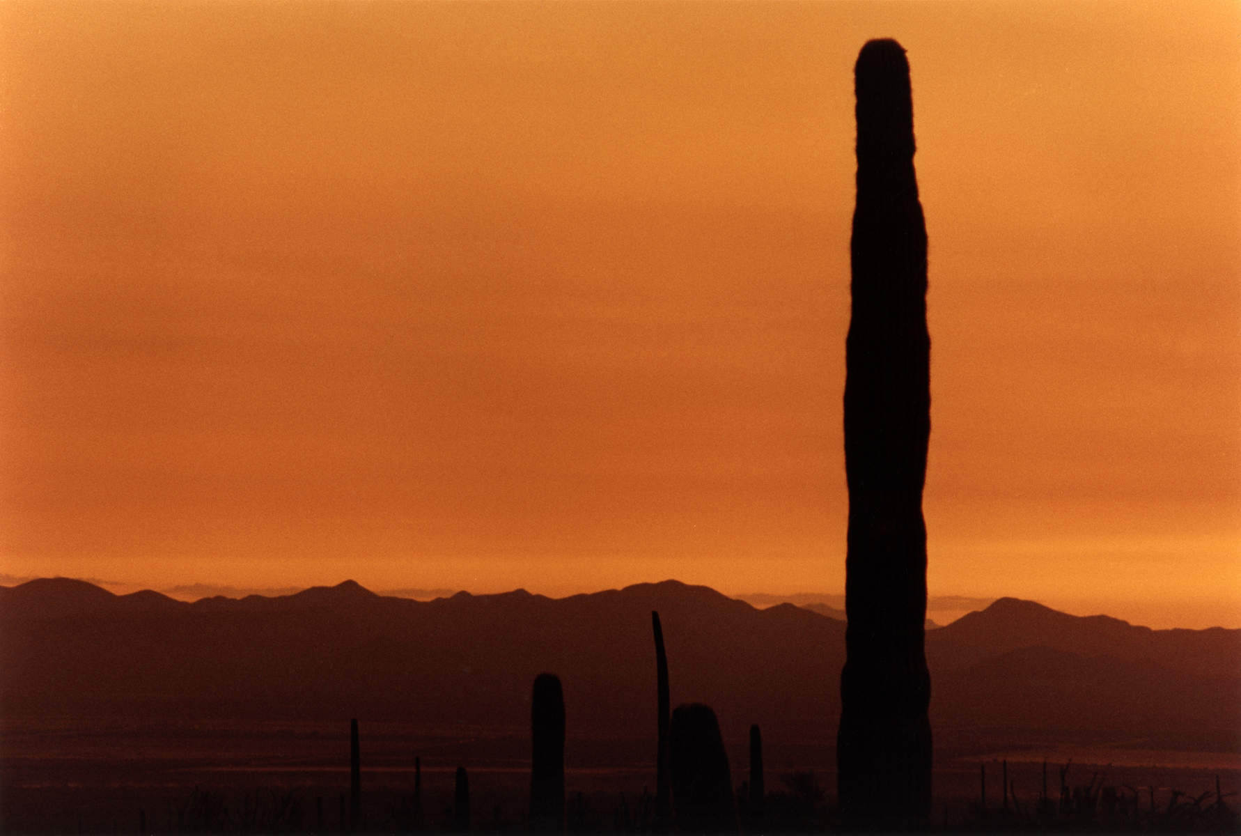 TucsonMnts.0014