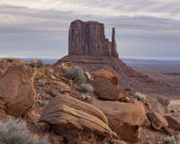 © Charlie Liggett Photography